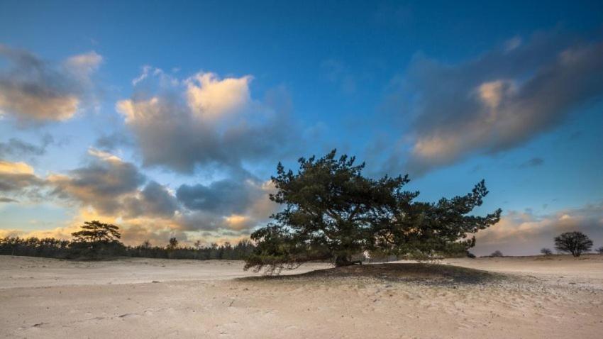 Vakantieverhuur Bienvenue Bojil ภายนอก รูปภาพ