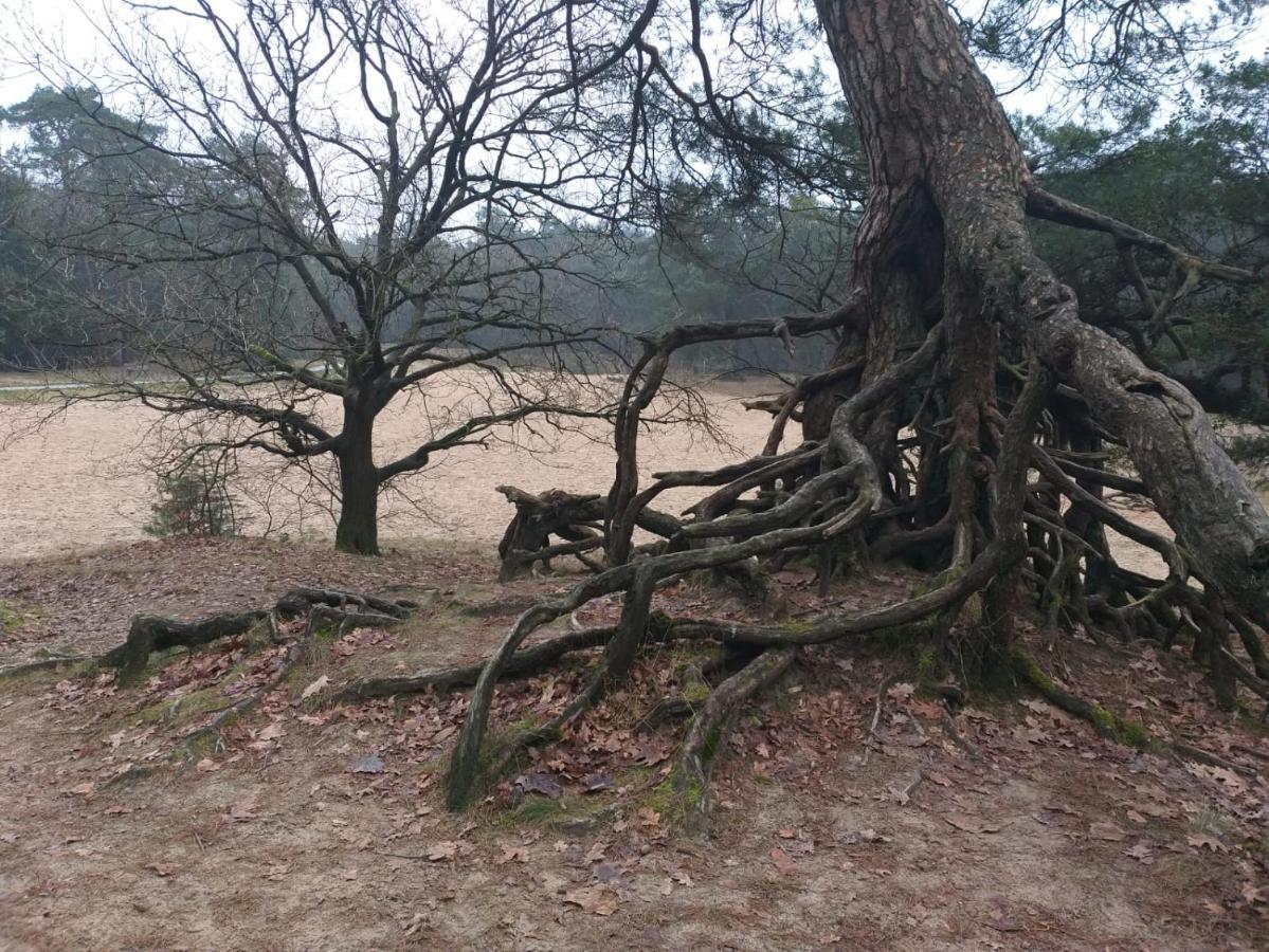 Vakantieverhuur Bienvenue Bojil ภายนอก รูปภาพ